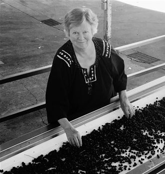 Winemaker, Kristi  Koford